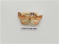 藏品(螟蛾397)的圖片